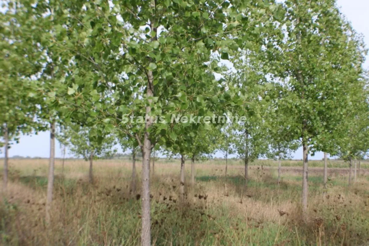 Prodaja, plac, 1378m², Zrenjanin, Srbija