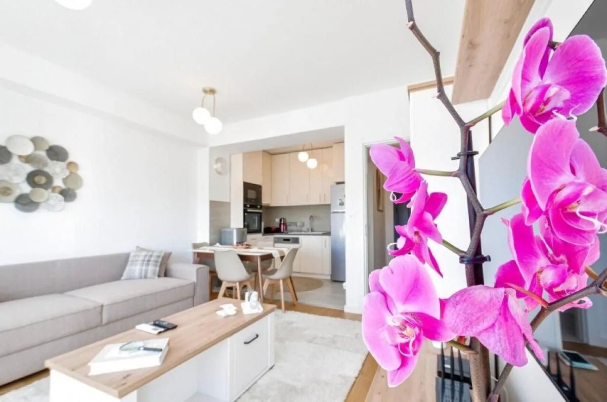 Sale, one bedroom apartment, 47m², Seljanovo, Tivat