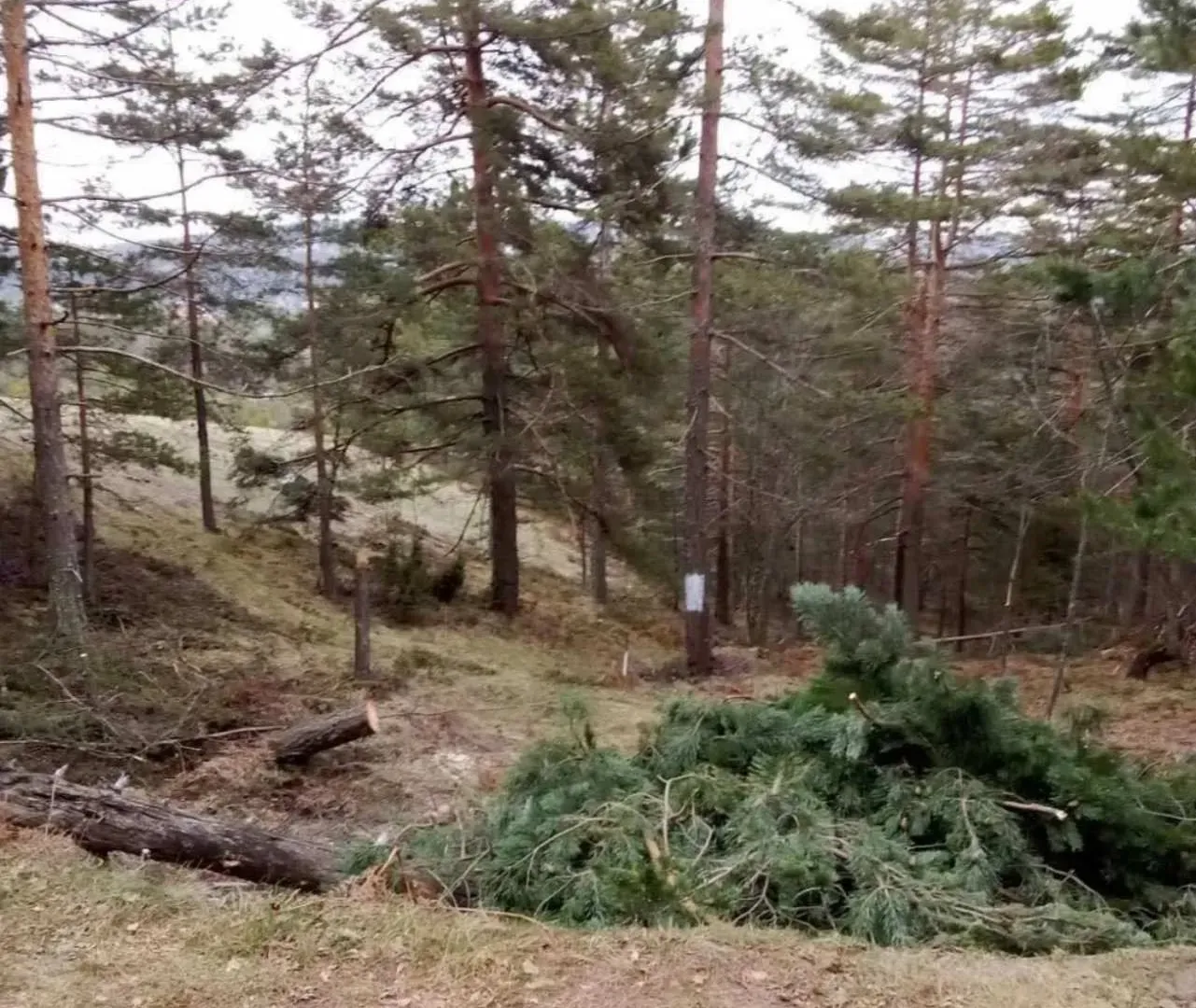 Prodaja, plac, 850m², Divčibare, Valjevo