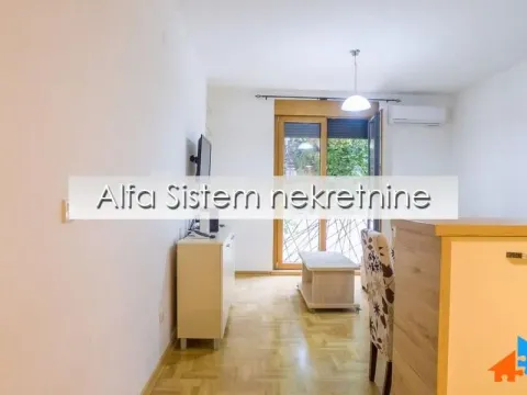 Izdavanje, dvosoban stan, 50m², Lekino Brdo, Voždovac Sve Podlokacije - image 5