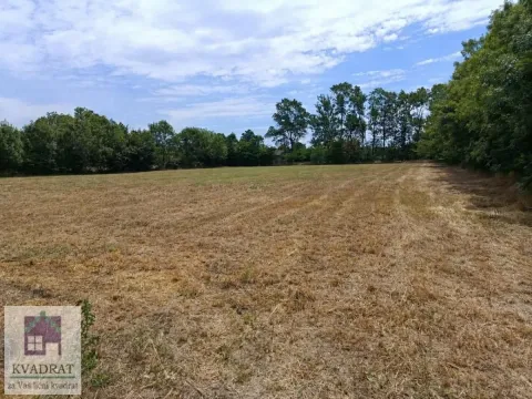 Prodaja, plac, 5200m², Obrenovac, Beograd - image 3