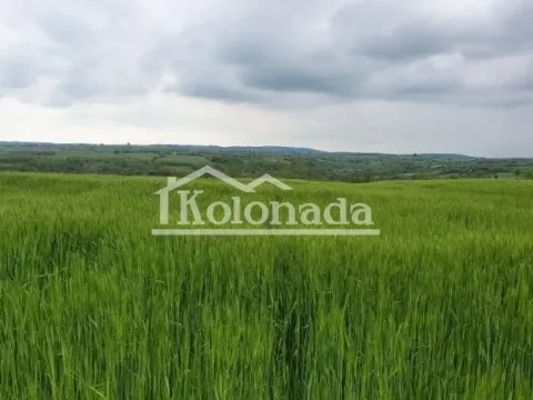 Prodaja, plac, 7500m², Sopot, Beograd - image 3