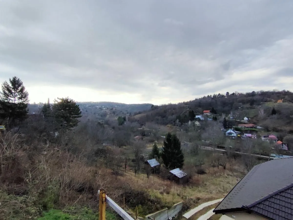 Prodaja, plac, 1000m², Sremska Kamenica, Petrovaradin