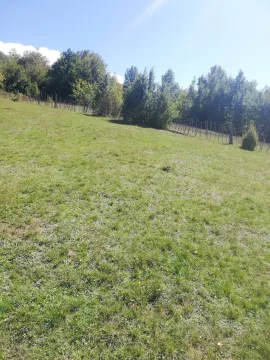 Prostrani travnati plac okružen drvećem pod sunčanim nebom. - image 3