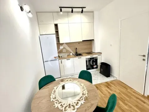 Izdavanje, jednosoban stan, 46m², Zagorič, Podgorica - image 4