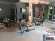 Izdavanje, ugostiteljski objekat, 200m², Sajmište, Novi Sad - image 17