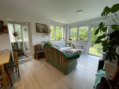 Sale, house, 55m², Sremska Kamenica, Petrovaradin - image 4