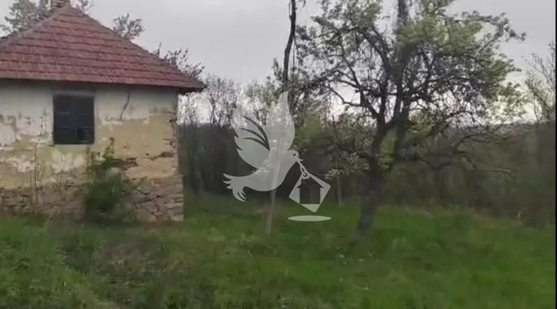 Prodaja, plac, 5329m², Centar, Topola