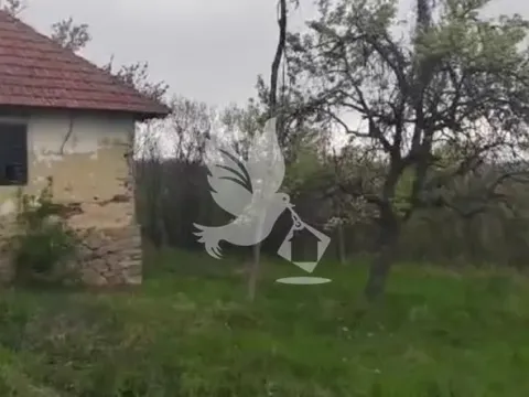 Sale, land lot, 5329m², Centar, Topola - image 7