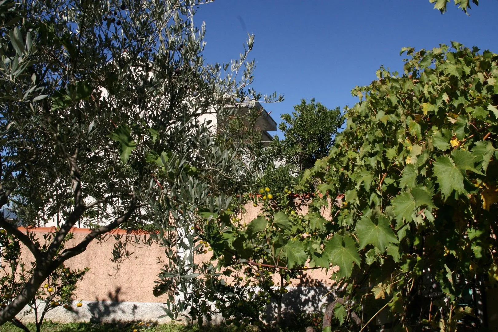 Sale, house, 450m², Kotor, Crna Gora