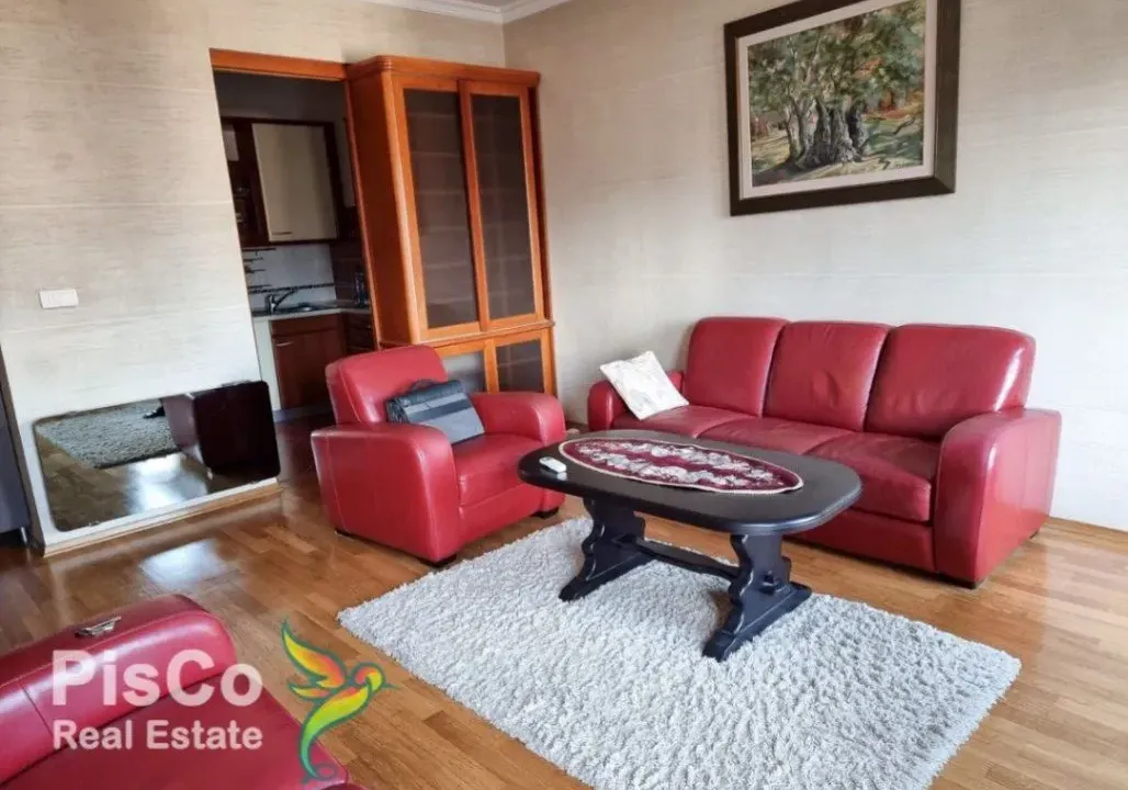 Izdavanje, jednosoban stan, 50m², Centar, Podgorica