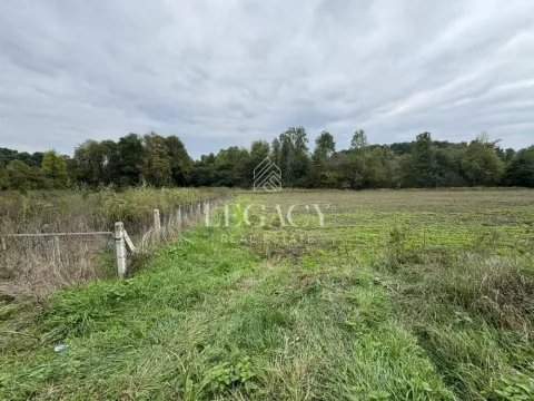 Sale, land lot, 6943m², Mladenovac, Beograd - image 6