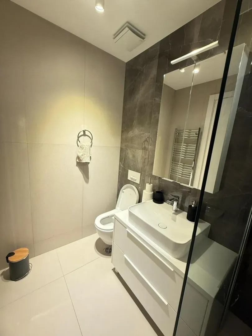 Modern bathroom with a sink, mirror, and toilet.