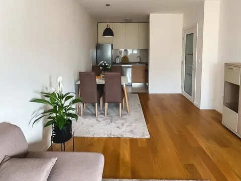 Izdavanje, jednosoban stan, 49m², Central Point, Podgorica - image 8