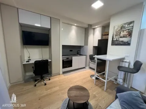 Rent, one bedroom apartment, 30m², Savski Venac, Beograd - image 4