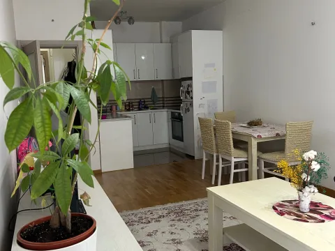 Rent, one bedroom apartment, 48m², Stari Aerodrom, Podgorica - image 5