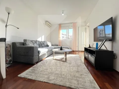 Izdavanje, jednosoban stan, 48m², Stari Aerodrom, Podgorica - image 1