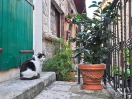 Prodaja, trosoban stan, 88m², Grad, Kotor - image 11