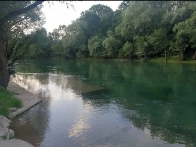 Sale, land lot, 8500m², Frutak, Danilovgrad