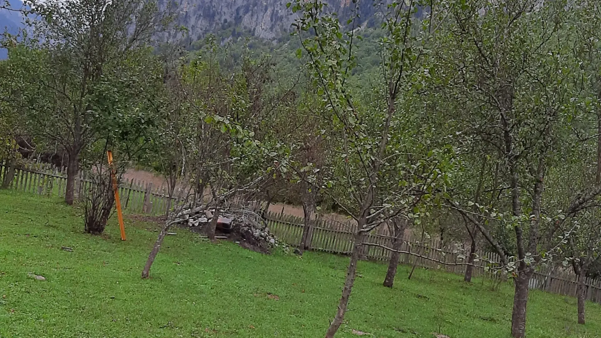 Prodaja, plac, 4000m², Dobrilovina, Mojkovac