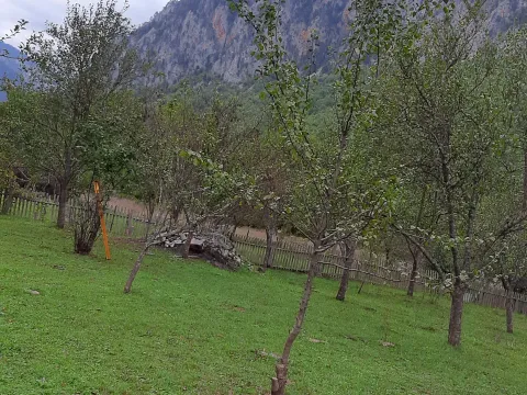 Prodaja, plac, 4000m², Dobrilovina, Mojkovac - image 10