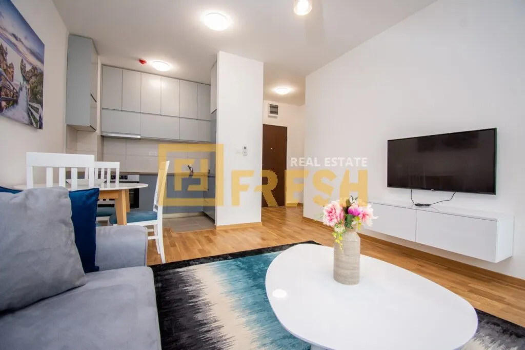 Rent, one bedroom apartment, 46m², Zagorič, Podgorica