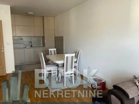 Izdavanje, jednosoban stan, 52m², Stari Aerodrom, Podgorica - image 6