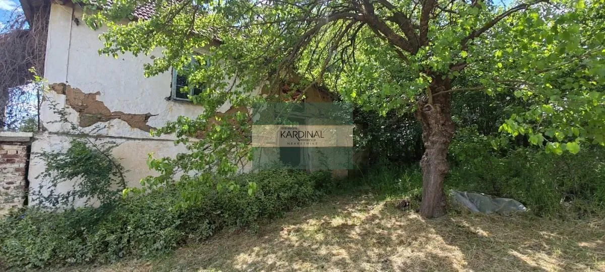 Prodaja, kuća, 250m², Crnče, Jagodina