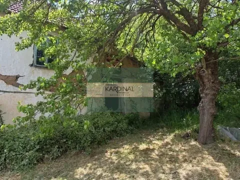 Prodaja, kuća, 250m², Crnče, Jagodina - image 9