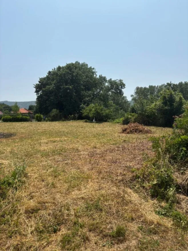 Prodaja, plac, 2400m², Pričelje, Podgorica