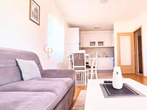 Izdavanje, stan, 50m², Stari Aerodrom, Podgorica - image 1