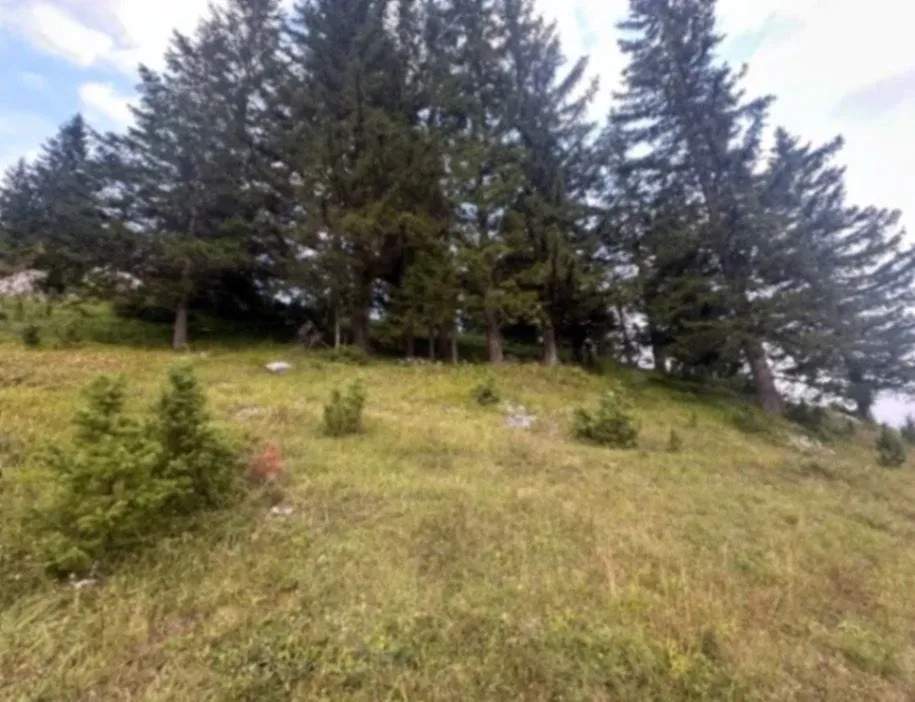 Prodaja, plac, 1330m², Žabljak, Crna Gora