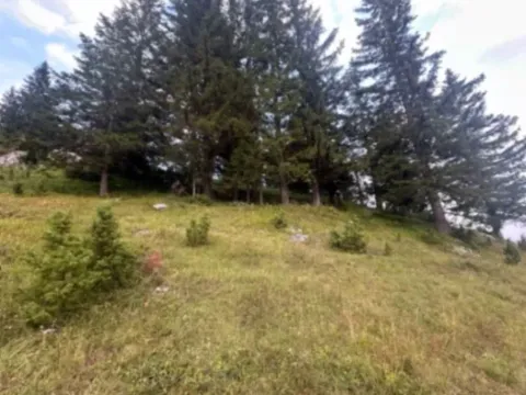 Prodaja, plac, 1330m², Žabljak, Crna Gora