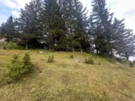 Prodaja, plac, 1330m², Žabljak, Crna Gora - image 1