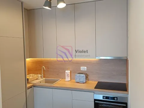 Rent, one bedroom apartment, 49m², Central Point, Podgorica - image 6