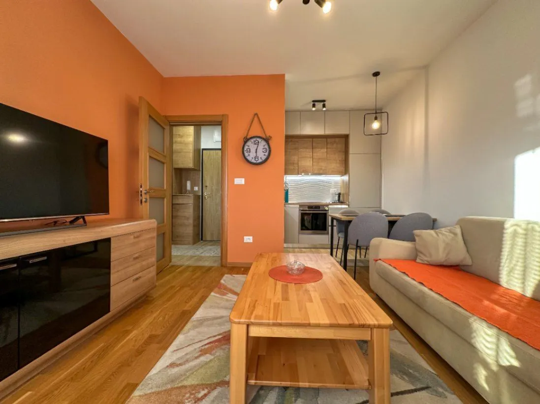 Izdavanje, jednosoban stan, 45m², Blok 9, Podgorica