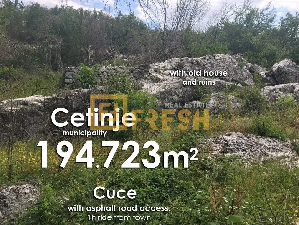 Prodaja, plac, 194723m², Cetinje, Crna Gora