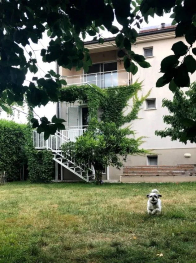 Rent, house, 240m², Donja Gorica, Podgorica