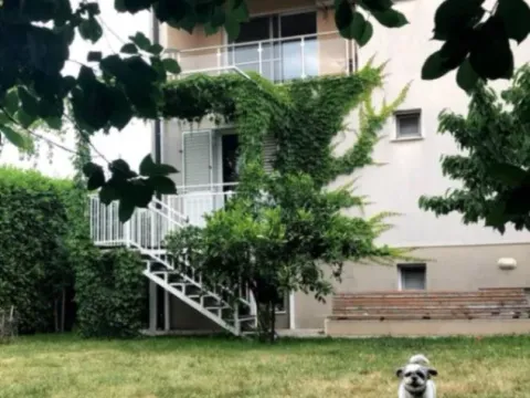 Izdavanje, kuća, 240m², Donja Gorica, Podgorica - image 2