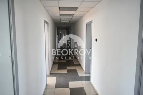 Rent, office space, 216m², Zemun Cara Dušana, Zemun Sve Podlokacije - image 7