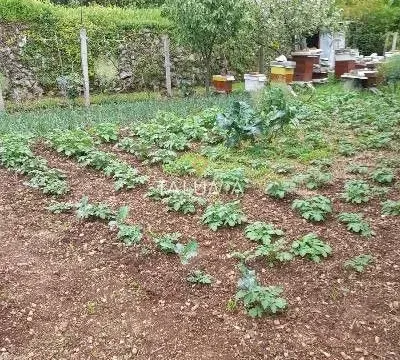 Prodaja, plac, 660m², Mokrine, Herceg Novi - image 3