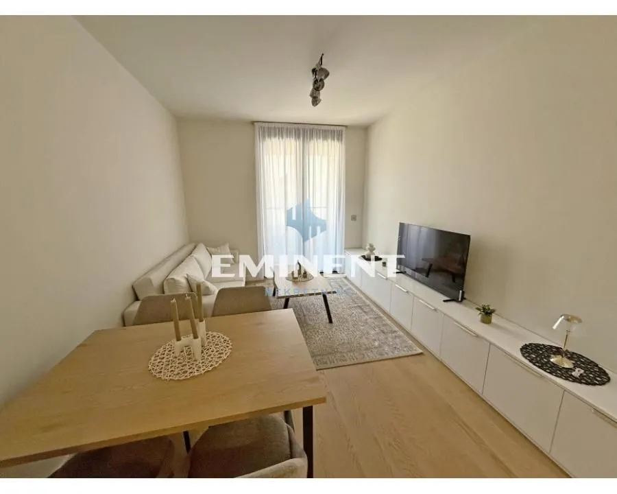 Izdavanje, dvosoban stan, 46m², Novi Beograd Blok 65, Novi Beograd Sve Podlokacije