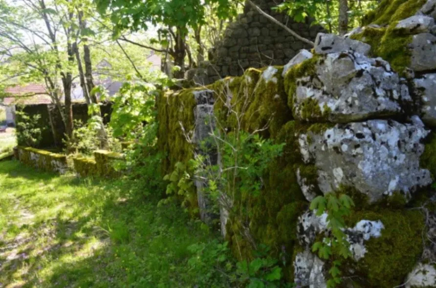 Prodaja, kuća, 450m², Njeguši, Cetinje