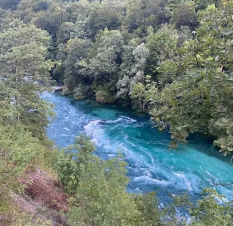 Prodaja, plac, 5000m², Brijeg, Plužine