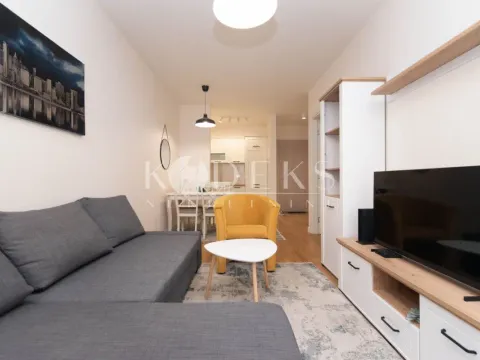 Izdavanje, jednosoban stan, 42m², Central Point, Podgorica - image 4