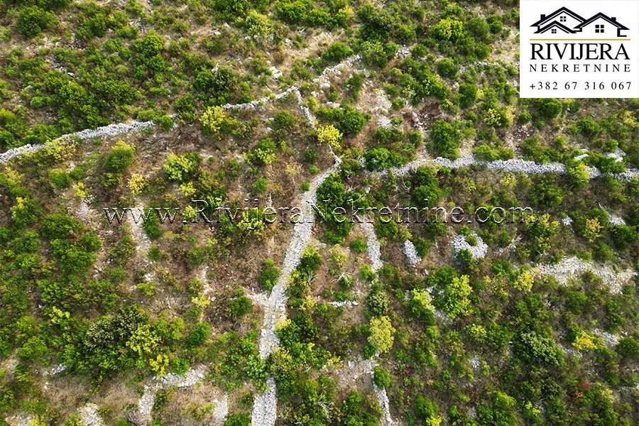 Prodaja, plac, 2216m², Glavatičići, Kotor