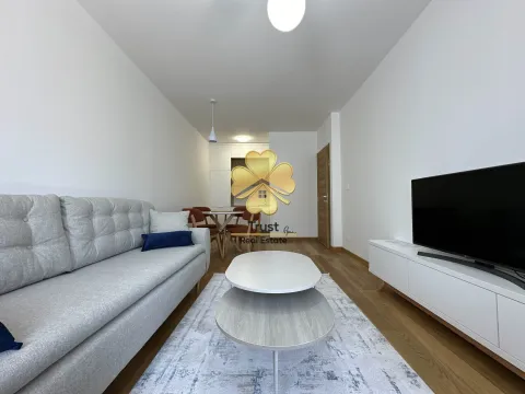 Izdavanje, jednosoban stan, 50m², City Kvart, Podgorica - image 2