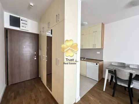 Izdavanje, jednosoban stan, 50m², Stari Aerodrom, Podgorica - image 6