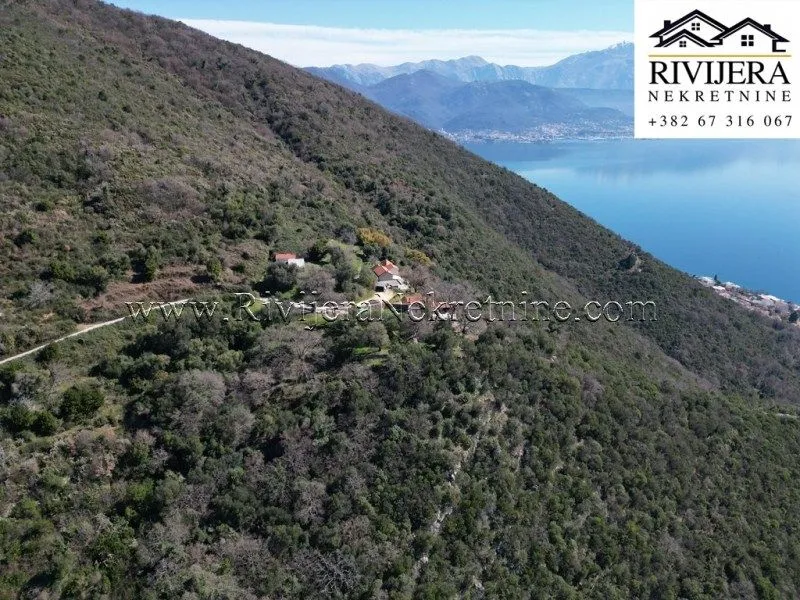 Prodaja, plac, 6635m², Baošići, Herceg Novi