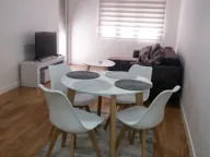 Izdavanje, jednosoban stan, 50m², Central Point, Podgorica - image 4